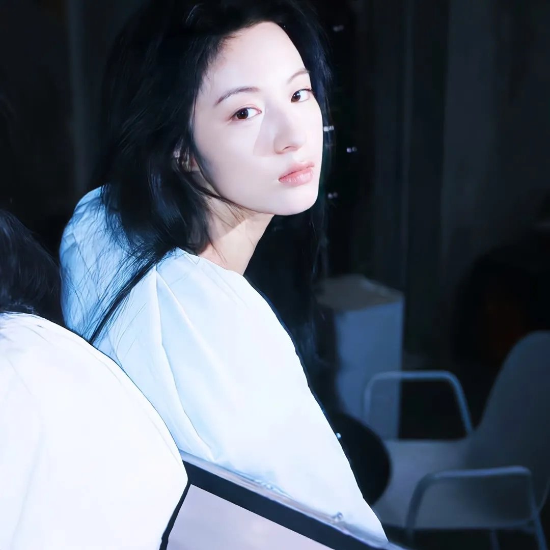 大明星醒目狗